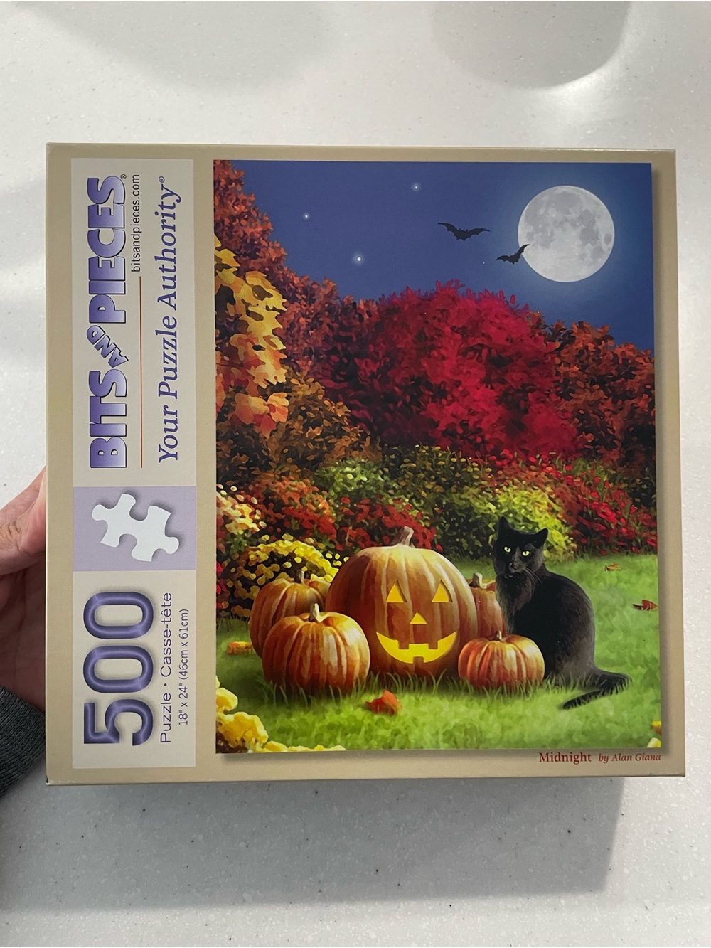 Bits & Pieces - 500 Piece Puzzle // Midnight